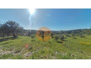 Terreno R�stico - Concei��o, Faro, Faro (Algarve) - Miniatura: 6/9