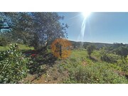 Terreno R�stico - Concei��o, Faro, Faro (Algarve) - Miniatura: 8/9