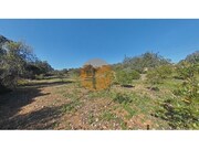Terreno R�stico - Concei��o, Faro, Faro (Algarve) - Miniatura: 9/9