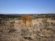 Terreno R�stico - Odeleite, Castro Marim, Faro (Algarve) - Miniatura: 2/9