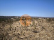 Terreno R�stico - Odeleite, Castro Marim, Faro (Algarve) - Miniatura: 6/9