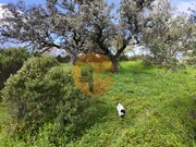 Terreno R�stico - Azinhal, Castro Marim, Faro (Algarve) - Miniatura: 2/9
