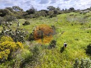Terreno R�stico - Azinhal, Castro Marim, Faro (Algarve) - Miniatura: 4/9