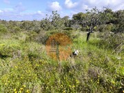 Terreno R�stico - Azinhal, Castro Marim, Faro (Algarve) - Miniatura: 5/9