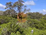 Terreno R�stico - Azinhal, Castro Marim, Faro (Algarve) - Miniatura: 7/9