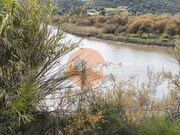 Terreno R�stico - Odeleite, Castro Marim, Faro (Algarve) - Miniatura: 4/9