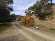 Terreno R�stico - Odeleite, Castro Marim, Faro (Algarve) - Miniatura: 6/9
