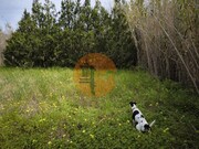 Terreno R�stico - Odeleite, Castro Marim, Faro (Algarve) - Miniatura: 2/9