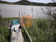 Terreno R�stico - Odeleite, Castro Marim, Faro (Algarve) - Miniatura: 4/9