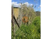 Terreno R�stico - Odeleite, Castro Marim, Faro (Algarve) - Miniatura: 5/9