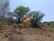 Terreno R�stico - Azinhal, Castro Marim, Faro (Algarve) - Miniatura: 8/9