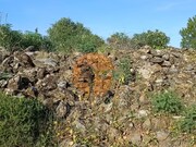 Terreno R�stico - Castro Marim, Castro Marim, Faro (Algarve) - Miniatura: 2/9
