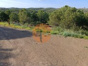Terreno R�stico - Castro Marim, Castro Marim, Faro (Algarve) - Miniatura: 3/9