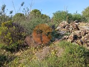 Terreno R�stico - Castro Marim, Castro Marim, Faro (Algarve) - Miniatura: 4/9