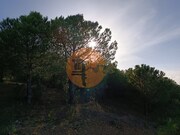 Terreno R�stico - Castro Marim, Castro Marim, Faro (Algarve) - Miniatura: 5/9
