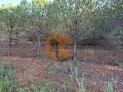 Terreno R�stico - Castro Marim, Castro Marim, Faro (Algarve) - Miniatura: 8/9