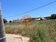 Ind�stria - S�o Br�s de Alportel, S�o Br�s de Alportel, Faro (Algarve) - Miniatura: 1/9