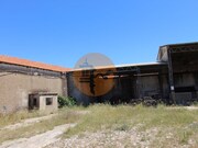 Ind�stria - S�o Br�s de Alportel, S�o Br�s de Alportel, Faro (Algarve) - Miniatura: 7/9