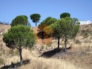 Terreno R�stico - Azinhal, Castro Marim, Faro (Algarve) - Miniatura: 9/9