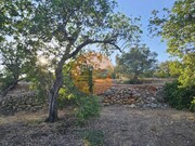 Outros - Estoi, Faro, Faro (Algarve) - Miniatura: 1/9