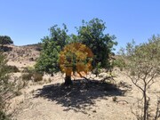 Hotel/Residencial - Castro Marim, Castro Marim, Faro (Algarve) - Miniatura: 9/9