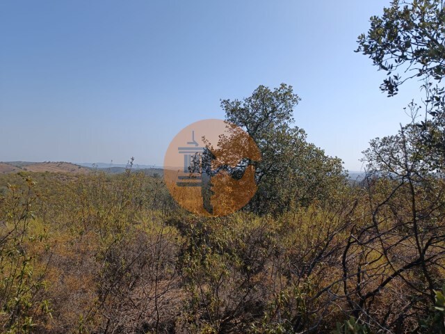 Terreno R�stico - Alcoutim, Alcoutim, Faro (Algarve) - Imagem grande