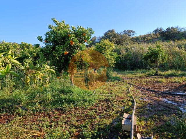 Terreno R�stico - Castro Marim, Castro Marim, Faro (Algarve) - Imagem grande
