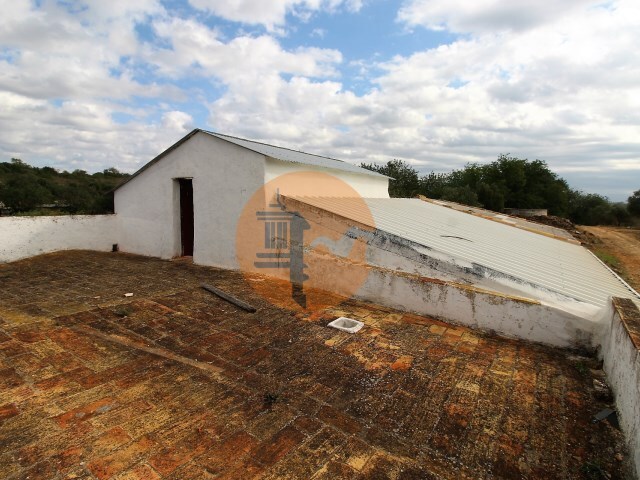 Moradia T2 - Pech�o, Olh�o, Faro (Algarve) - Imagem grande