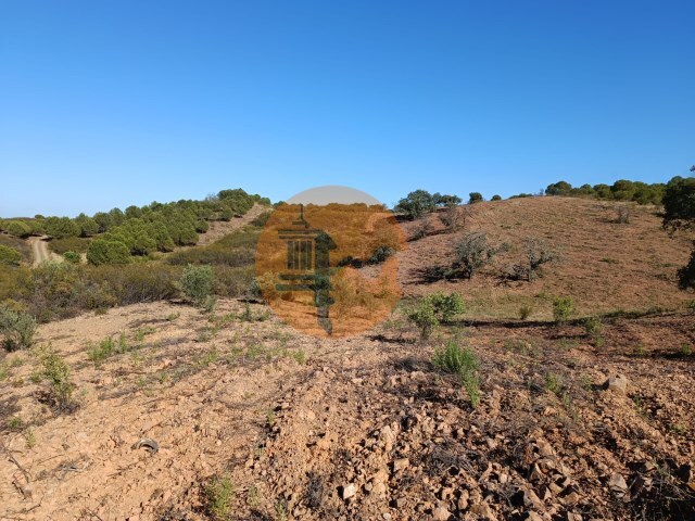 Terreno R�stico - Azinhal, Castro Marim, Faro (Algarve) - Imagem grande