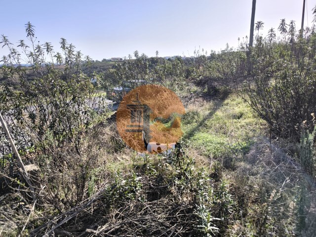 Terreno R�stico - Azinhal, Castro Marim, Faro (Algarve) - Imagem grande