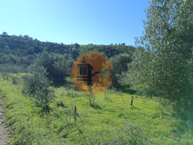 Terreno R�stico - Castro Marim, Castro Marim, Faro (Algarve) - Imagem grande