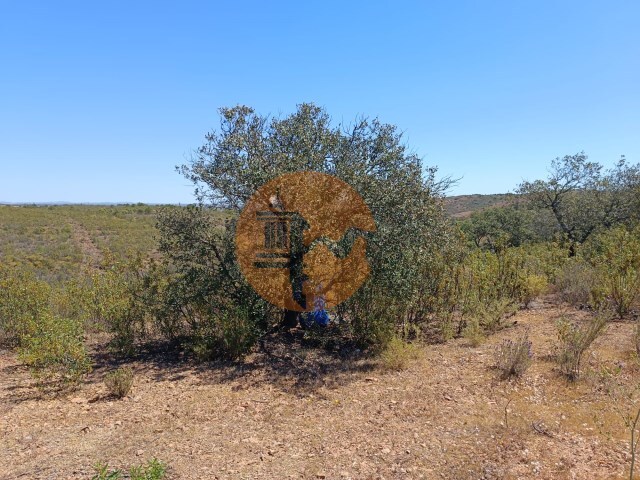 Terreno R�stico - Odeleite, Castro Marim, Faro (Algarve) - Imagem grande