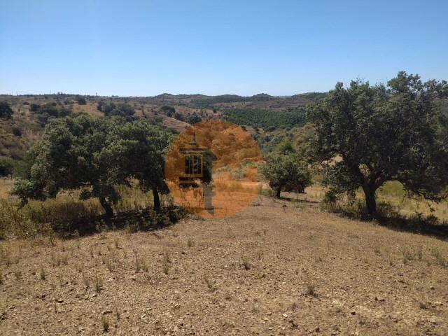 Terreno R�stico - Azinhal, Castro Marim, Faro (Algarve) - Imagem grande
