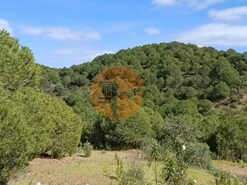 Terreno R�stico - Azinhal, Castro Marim, Faro (Algarve)