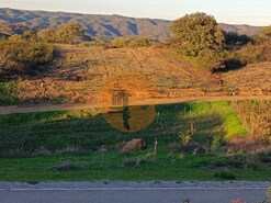 Terreno R�stico - Azinhal, Castro Marim, Faro (Algarve)