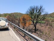 Terreno R�stico - Azinhal, Castro Marim, Faro (Algarve) - Miniatura: 4/9