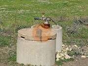 Quinta - Castro Marim, Castro Marim, Faro (Algarve) - Miniatura: 6/9