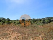 Terreno R�stico - Concei��o, Faro, Faro (Algarve) - Miniatura: 1/9