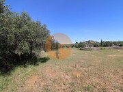 Terreno R�stico - Concei��o, Faro, Faro (Algarve) - Miniatura: 2/9