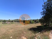 Terreno R�stico - Concei��o, Faro, Faro (Algarve) - Miniatura: 3/9
