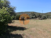 Terreno R�stico - Concei��o, Faro, Faro (Algarve) - Miniatura: 4/9