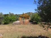 Terreno R�stico - Concei��o, Faro, Faro (Algarve) - Miniatura: 5/9