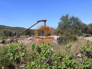 Terreno R�stico - Concei��o, Faro, Faro (Algarve) - Miniatura: 6/9