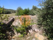 Terreno R�stico - Concei��o, Faro, Faro (Algarve) - Miniatura: 7/9