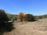Terreno R�stico - Concei��o, Faro, Faro (Algarve) - Miniatura: 8/9