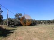 Terreno R�stico - Concei��o, Faro, Faro (Algarve) - Miniatura: 9/9