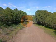 Terreno R�stico - Azinhal, Castro Marim, Faro (Algarve) - Miniatura: 2/9