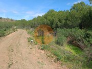 Terreno R�stico - Azinhal, Castro Marim, Faro (Algarve) - Miniatura: 4/9