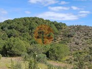 Terreno R�stico - Azinhal, Castro Marim, Faro (Algarve) - Miniatura: 6/9