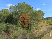 Terreno R�stico - Azinhal, Castro Marim, Faro (Algarve) - Miniatura: 9/9